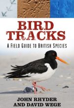 Bird-Tracks-COMP-2-9781803991702-400x598 Bird-Tracks-COMP-2-9781803991702-400x598
