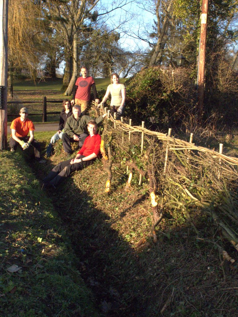 Hedgerows are an artificial habitat most of which were created in the 18th century as modern agricultural practices began to form.